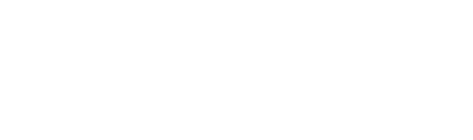 Gruas Económicas en Chile
